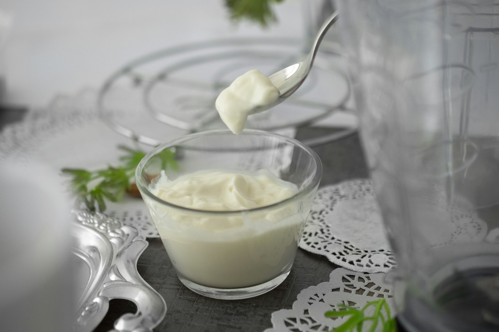 Best Probiotics for Bloating