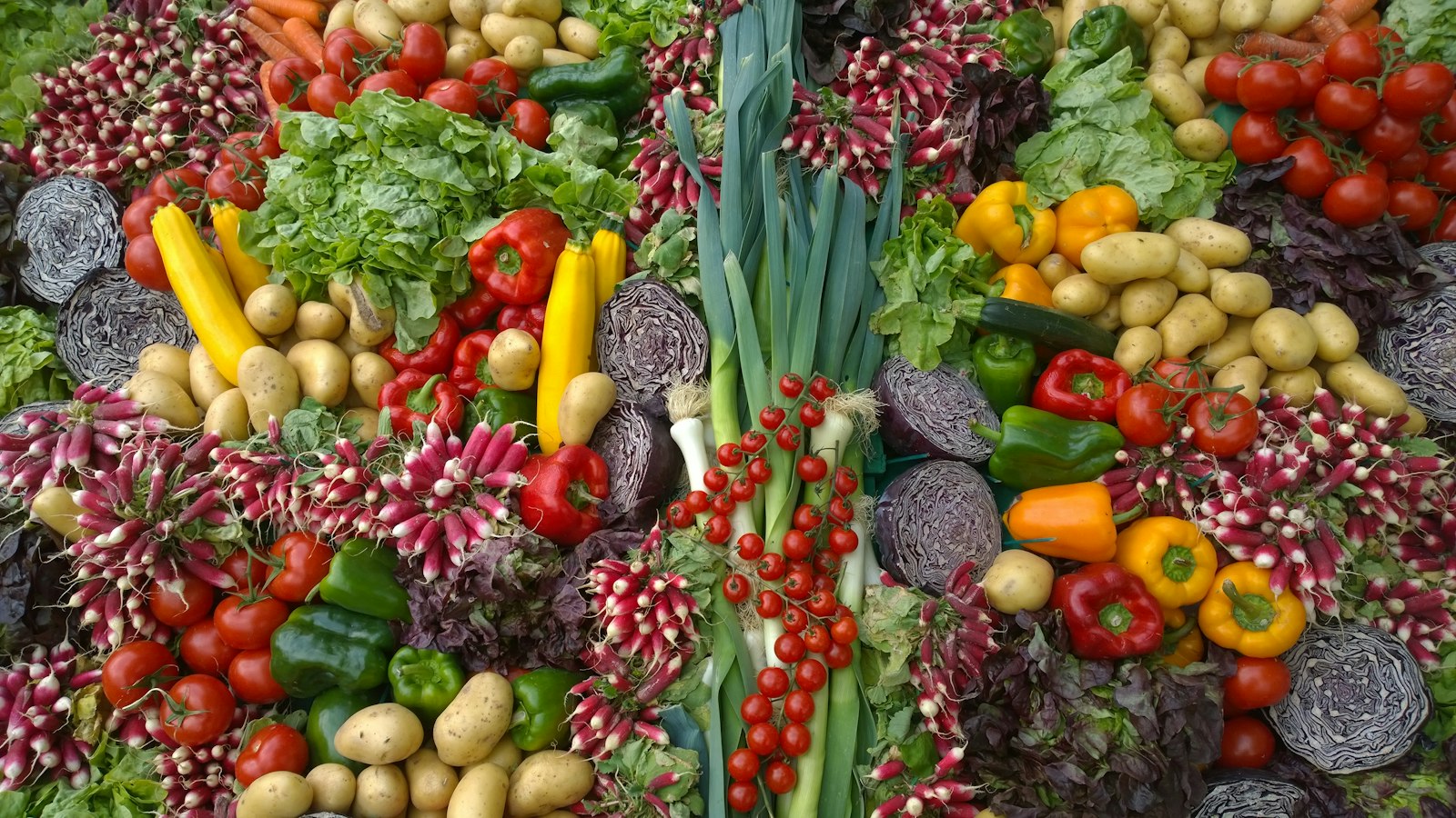 Does Food Sensitivity Testing Actually Work? What the Science Says